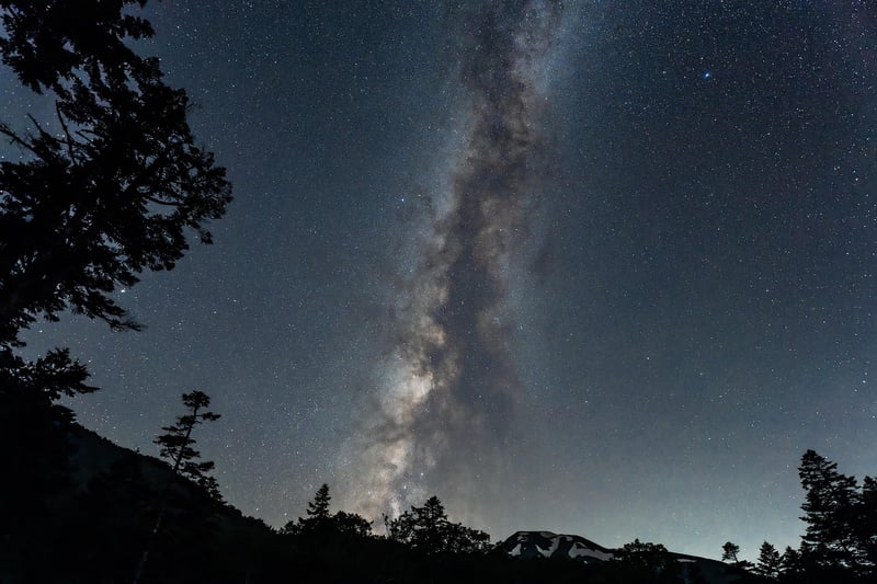 Swimming in the Milky Way